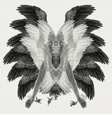 Dan Hillier Colibri Small The Contemporary